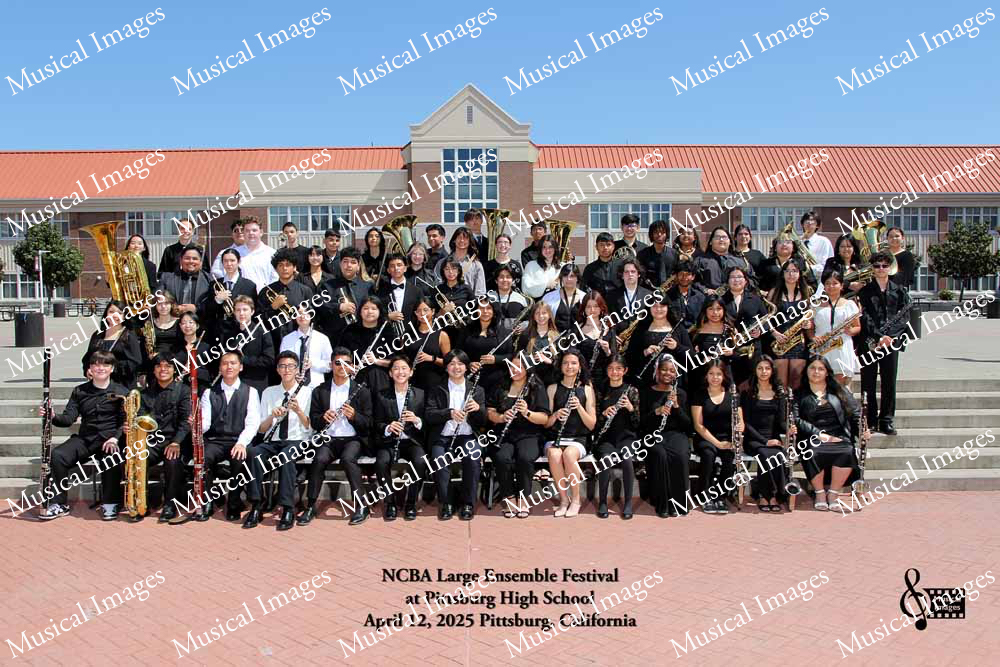 Musical Images